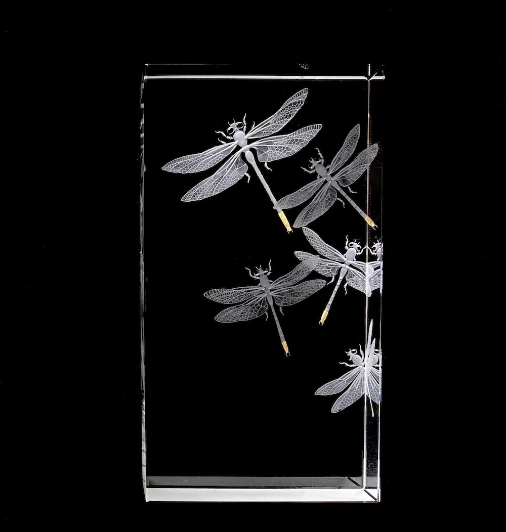Dragonflies Dragonflies